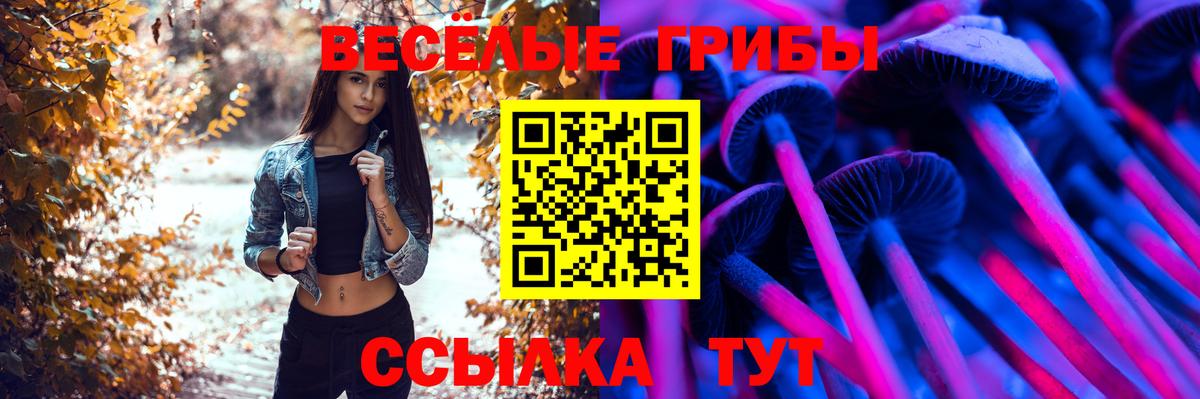 Галлюциногенные грибы прущие грибы  Псилоцибиновые грибы Psilocybe  Сальск  Вход с VPN 